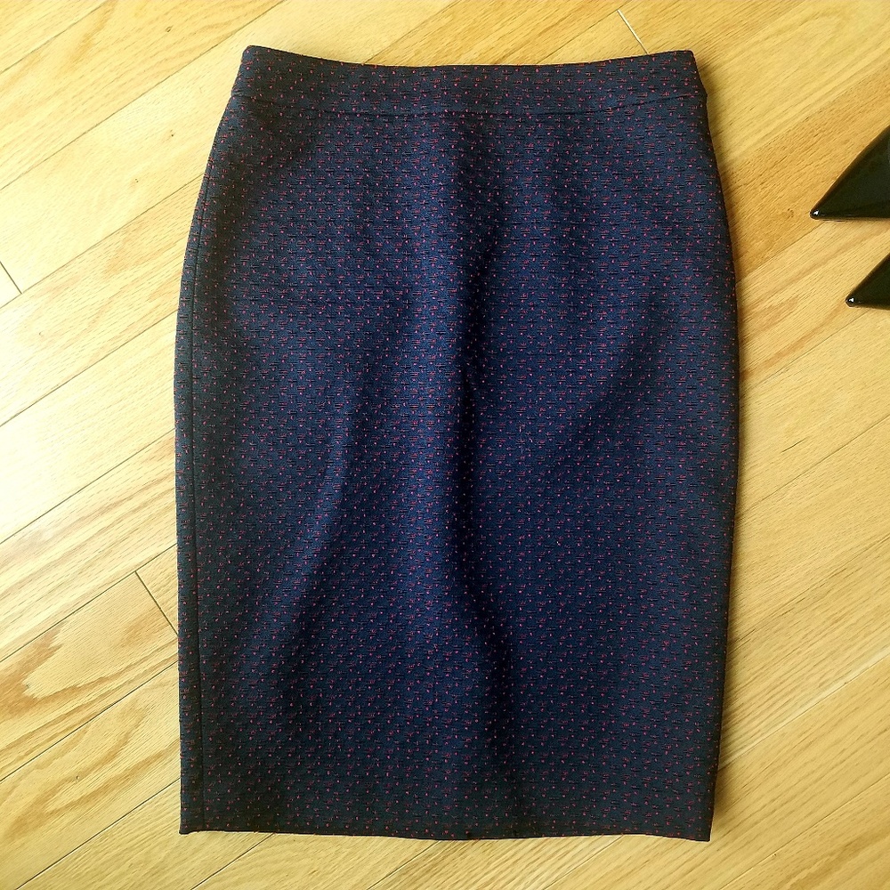 Ann Taylor Pencil Skirt